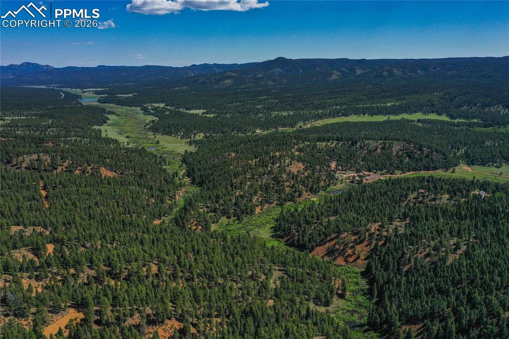 29545 Highway 67 Woodland Park CO 80863