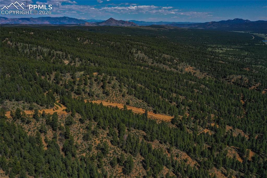 29545 Highway 67 Woodland Park CO 80863