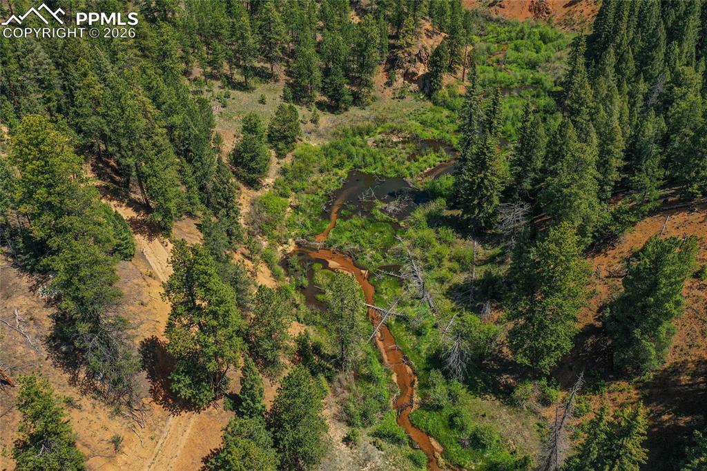29545 Highway 67 Woodland Park CO 80863