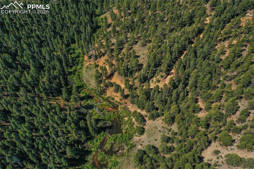 29545 Highway 67 Woodland Park CO 80863