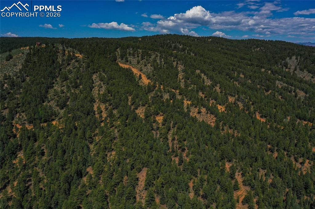29545 Highway 67 Woodland Park CO 80863