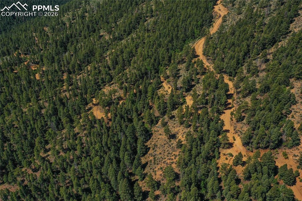 29545 Highway 67 Woodland Park CO 80863