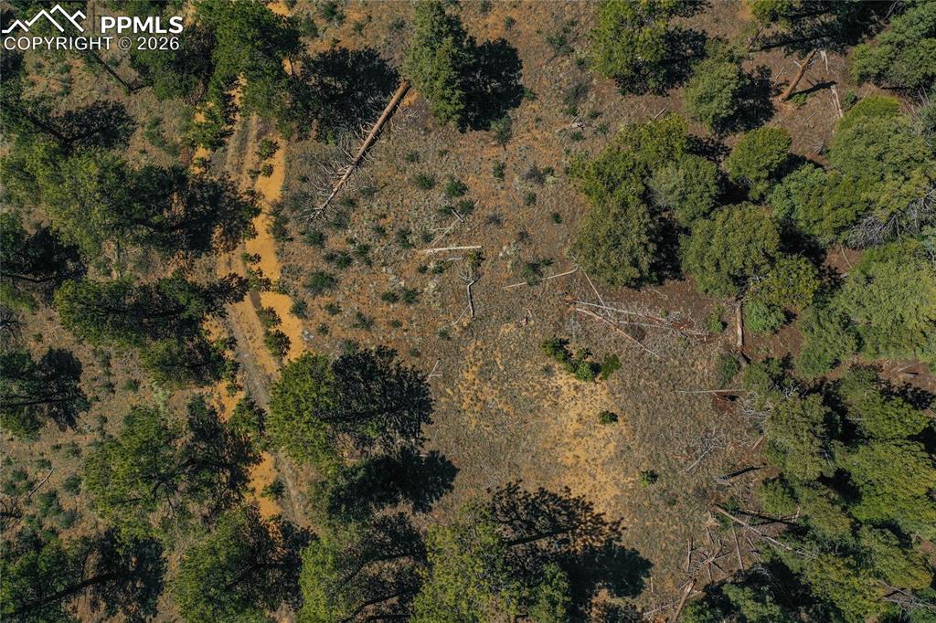 29545 Highway 67 Woodland Park CO 80863