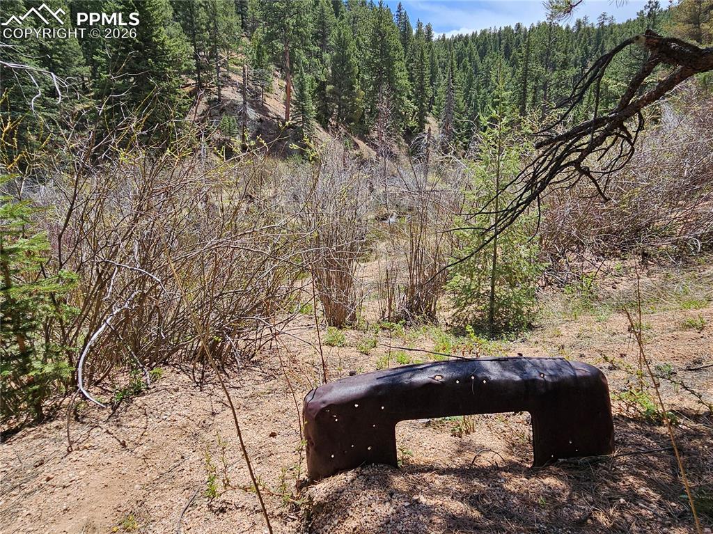 29545 Highway 67 Woodland Park CO 80863