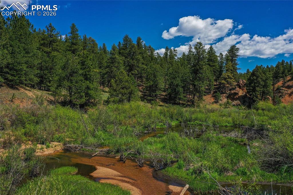 29545 Highway 67 Woodland Park CO 80863
