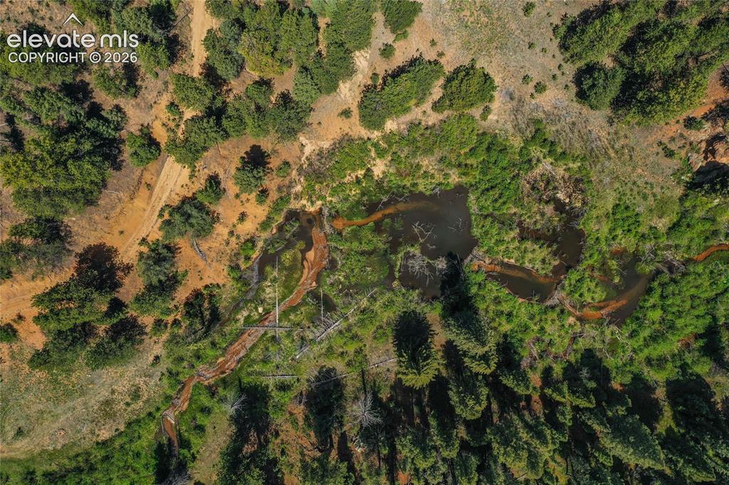 29545 Highway 67 Woodland Park CO 80863