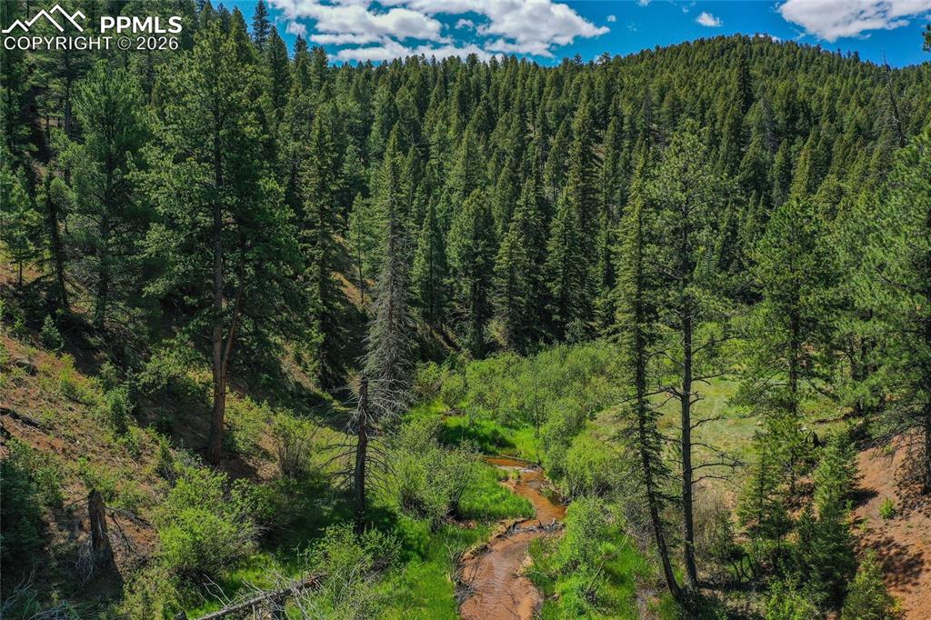 29545 Highway 67 Woodland Park CO 80863