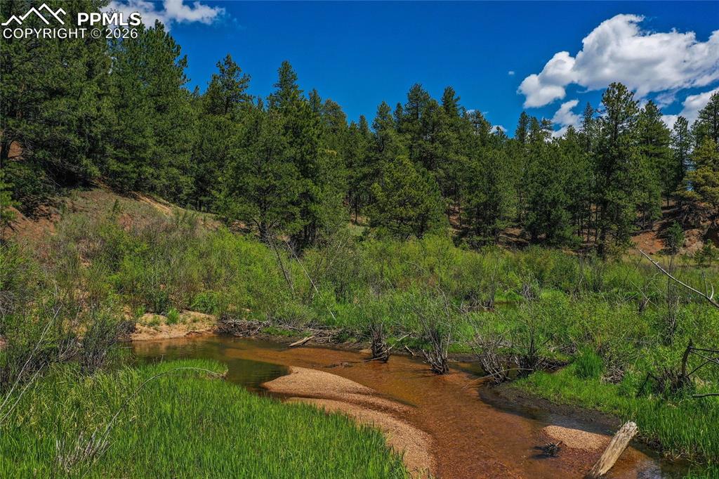 29545 Highway 67 Woodland Park CO 80863