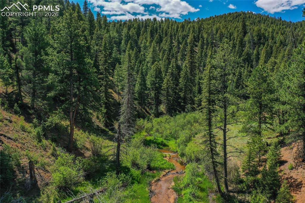 29545 Highway 67 Woodland Park CO 80863
