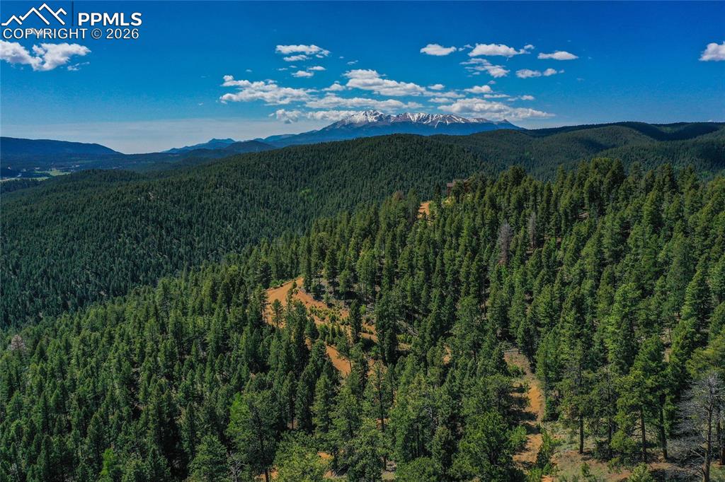 29545 Highway 67 Woodland Park CO 80863
