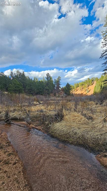 29545 Highway 67 Woodland Park CO 80863
