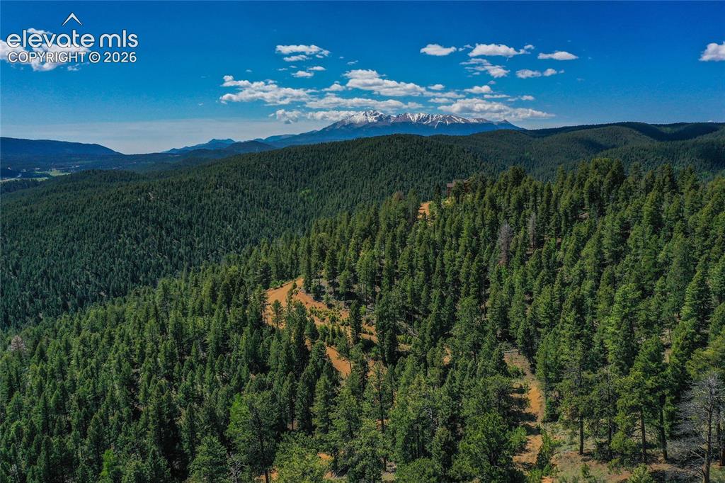 29545 Highway 67 Woodland Park CO 80863