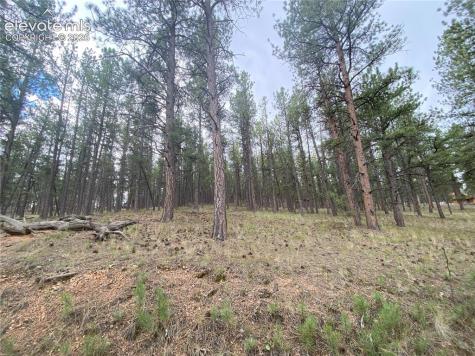 60 Pickens Road Florissant CO 80816
