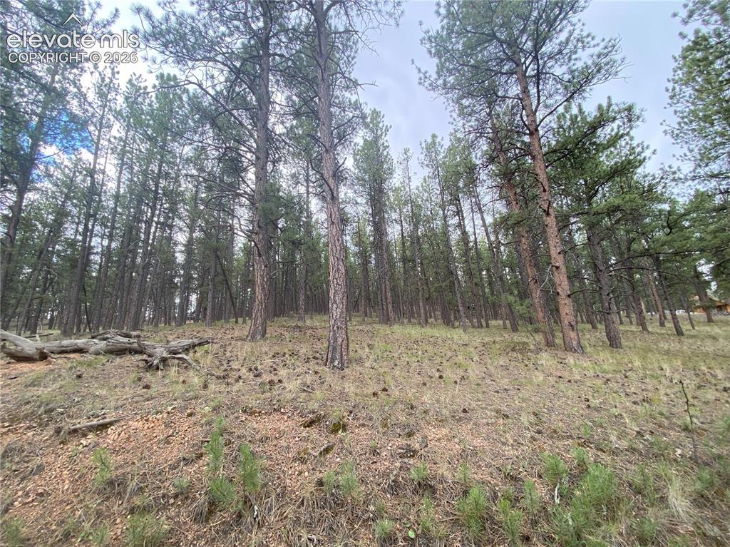 60 Pickens Road Florissant CO 80816