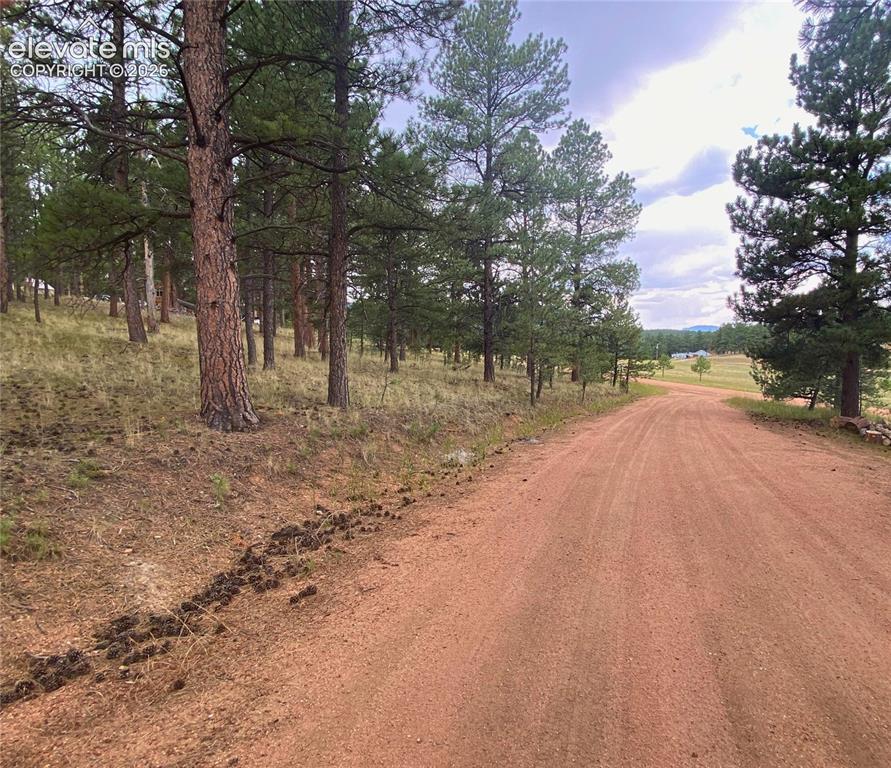 60 Pickens Road Florissant CO 80816