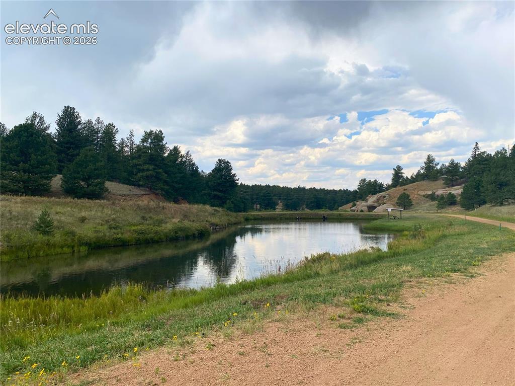 60 Pickens Road Florissant CO 80816