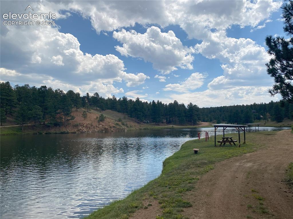 60 Pickens Road Florissant CO 80816