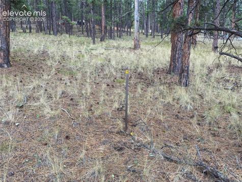60 Pickens Road Florissant CO 80816