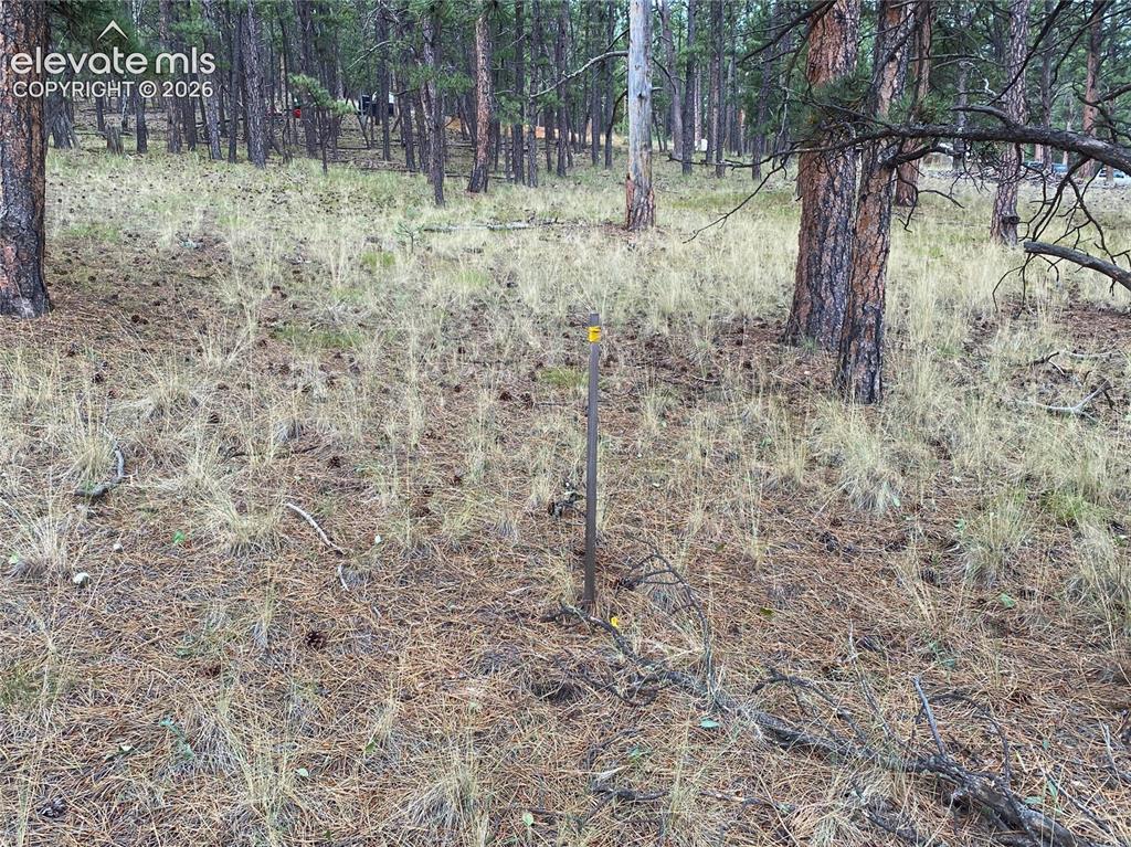 60 Pickens Road Florissant CO 80816