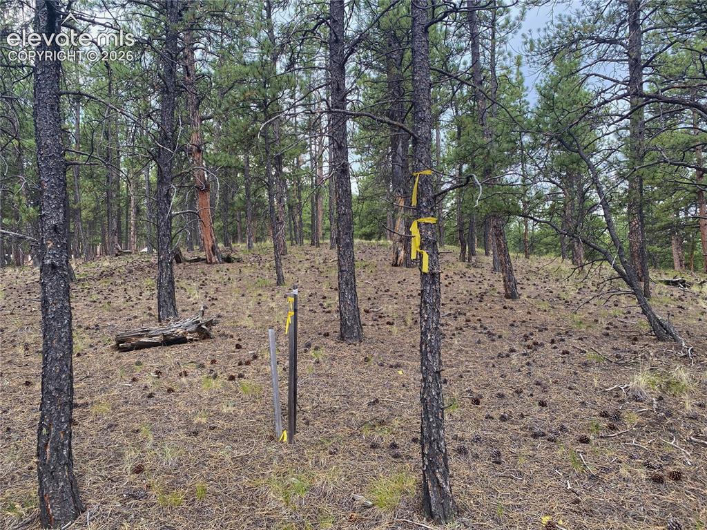 60 Pickens Road Florissant CO 80816
