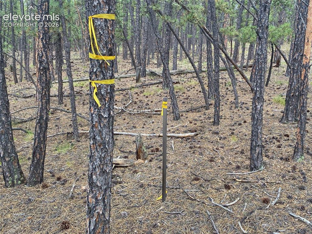 60 Pickens Road Florissant CO 80816