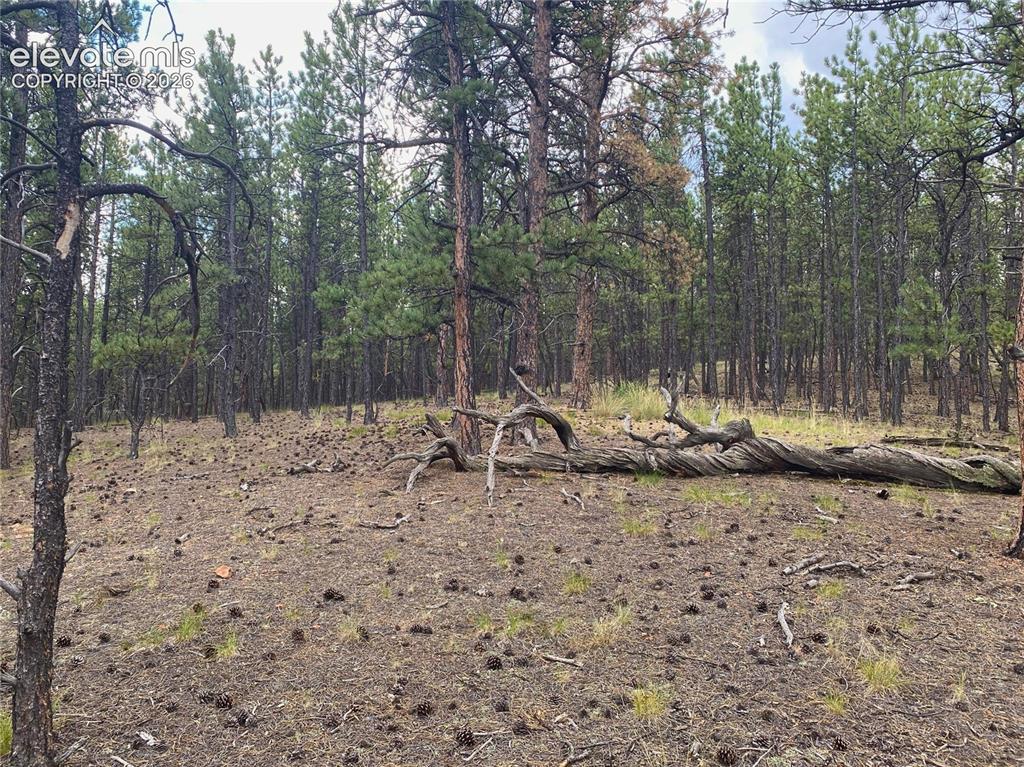 60 Pickens Road Florissant CO 80816