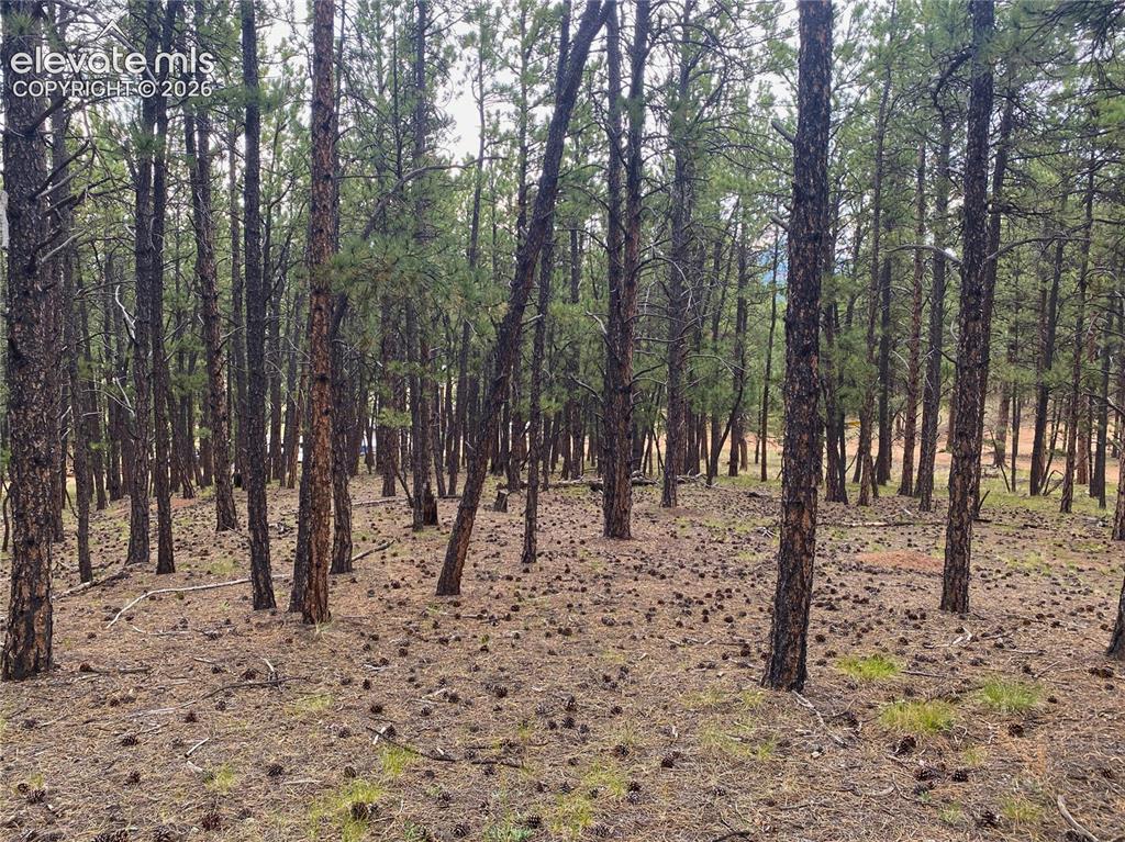 60 Pickens Road Florissant CO 80816