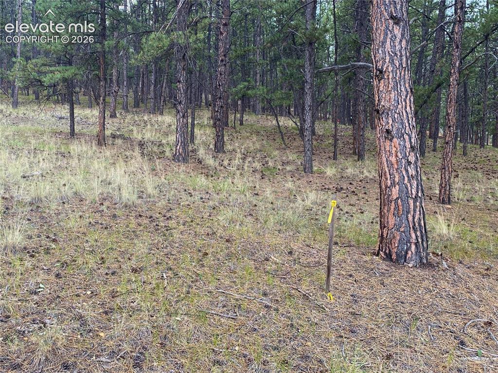 60 Pickens Road Florissant CO 80816