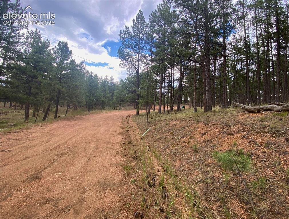 60 Pickens Road Florissant CO 80816