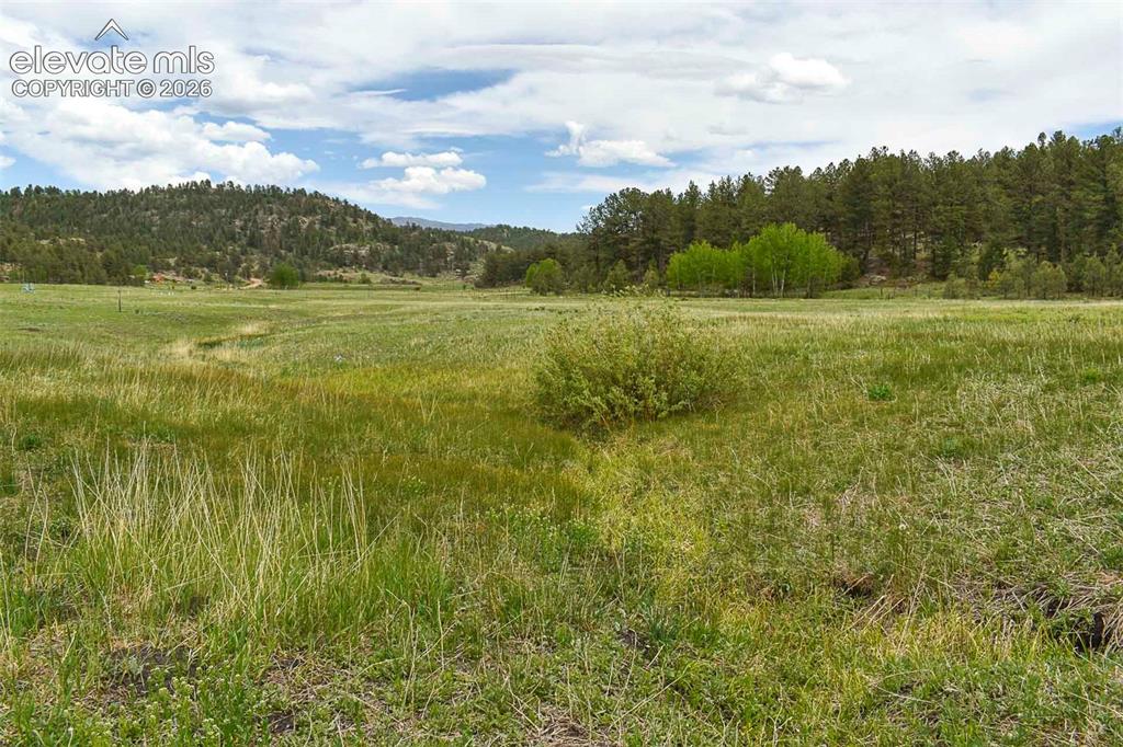 729 Valley Drive Guffey CO 80820
