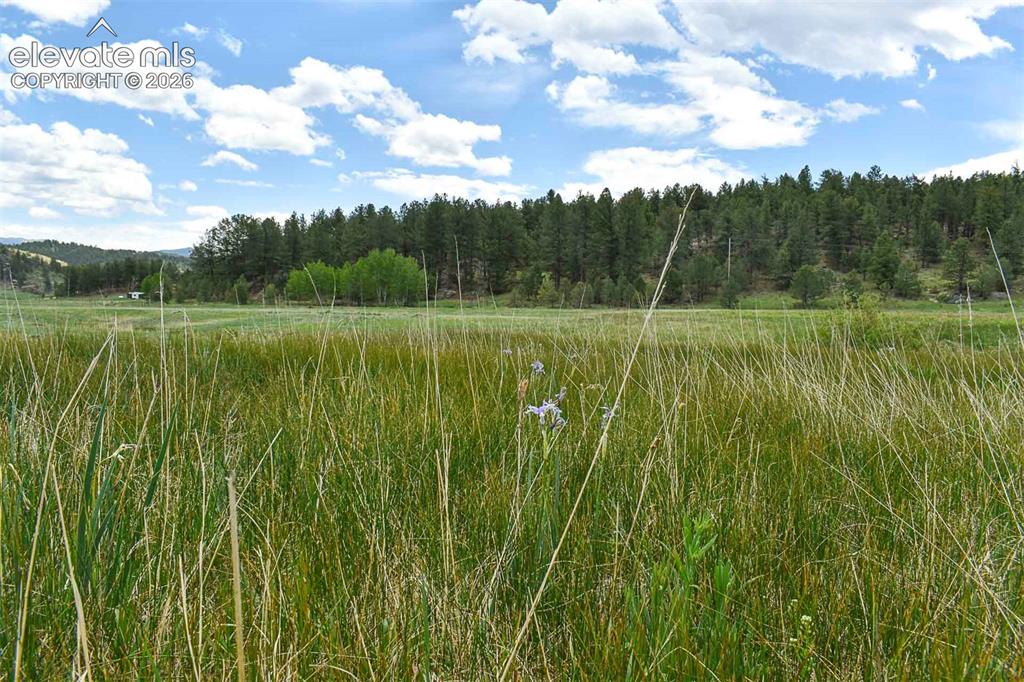 729 Valley Drive Guffey CO 80820