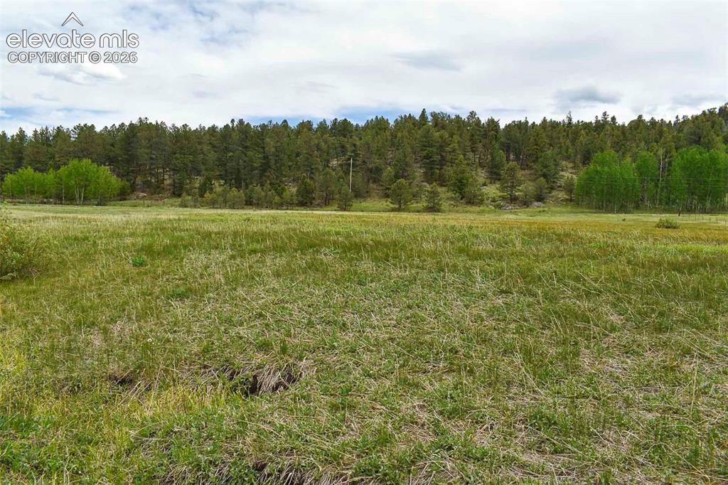 729 Valley Drive Guffey CO 80820