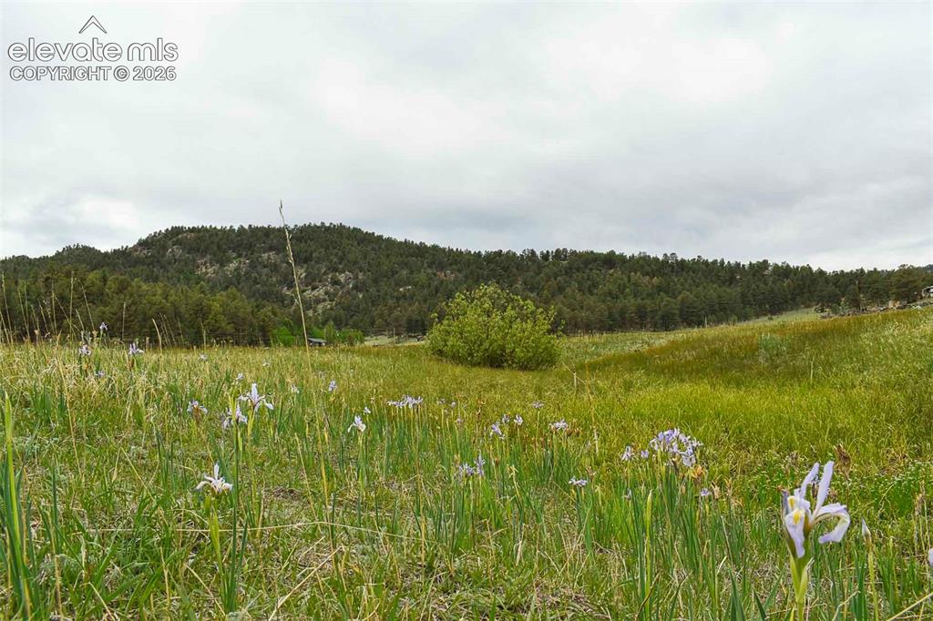 729 Valley Drive Guffey CO 80820