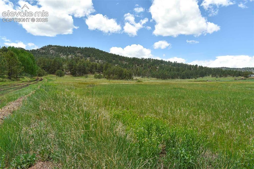 729 Valley Drive Guffey CO 80820