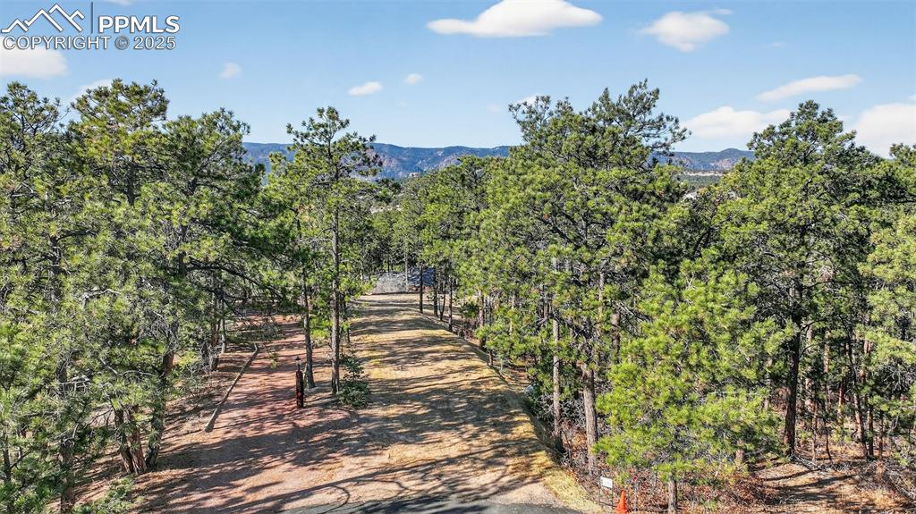 1380 Buckwood Lane Monument CO 80132