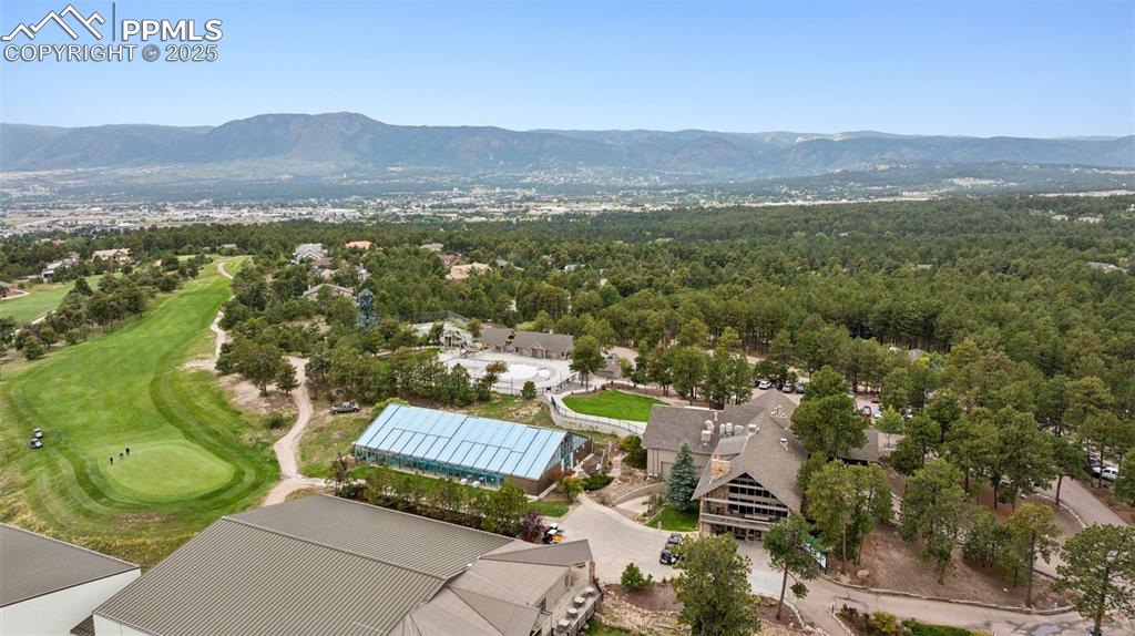 1380 Buckwood Lane Monument CO 80132