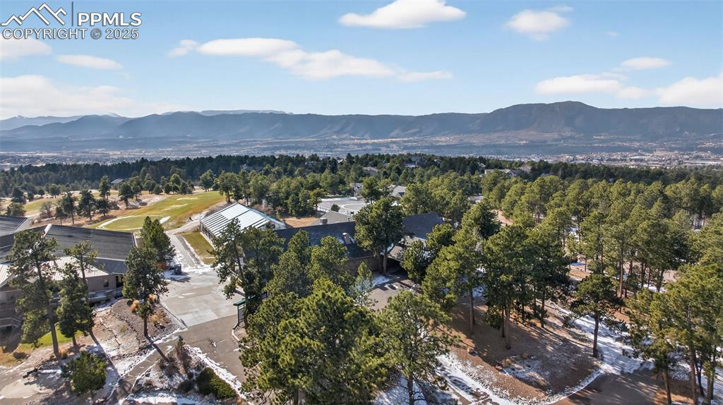 1380 Buckwood Lane Monument CO 80132