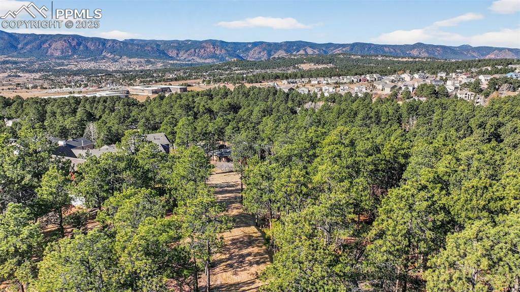 1380 Buckwood Lane Monument CO 80132