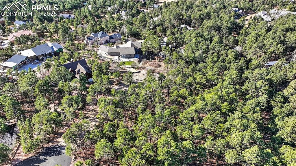 1380 Buckwood Lane Monument CO 80132