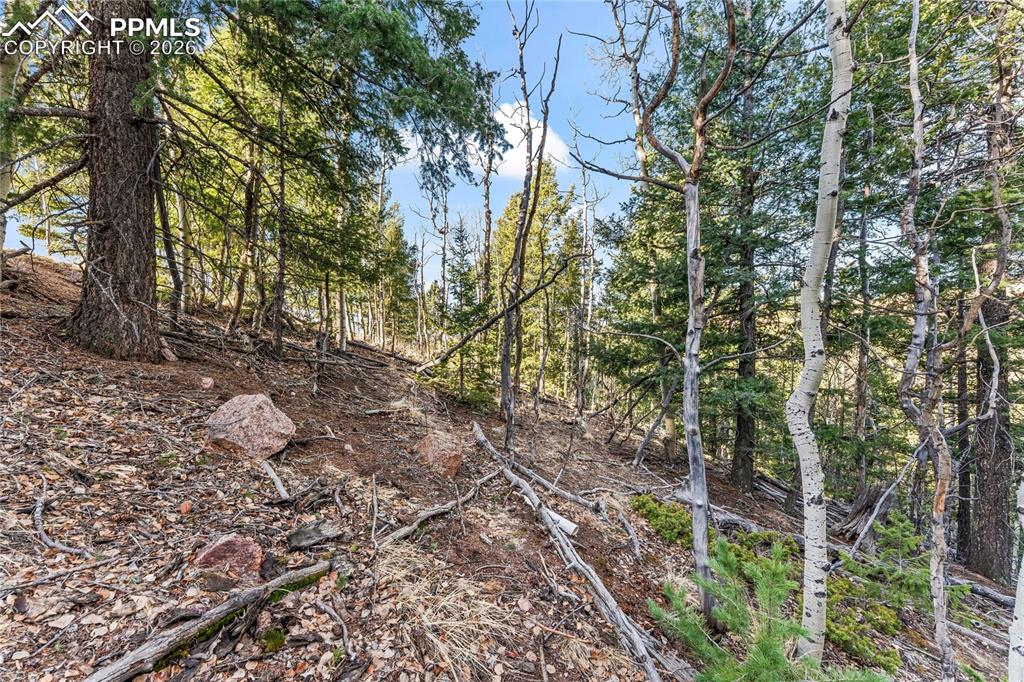 728 Little Topsey Drive Cripple Creek CO 80813