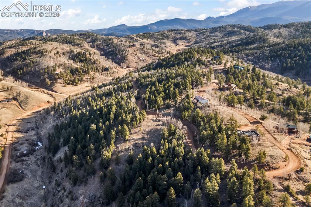 728 Little Topsey Drive Cripple Creek CO 80813