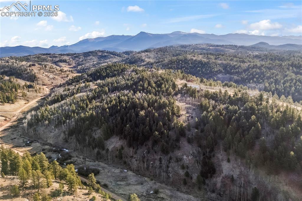728 Little Topsey Drive Cripple Creek CO 80813