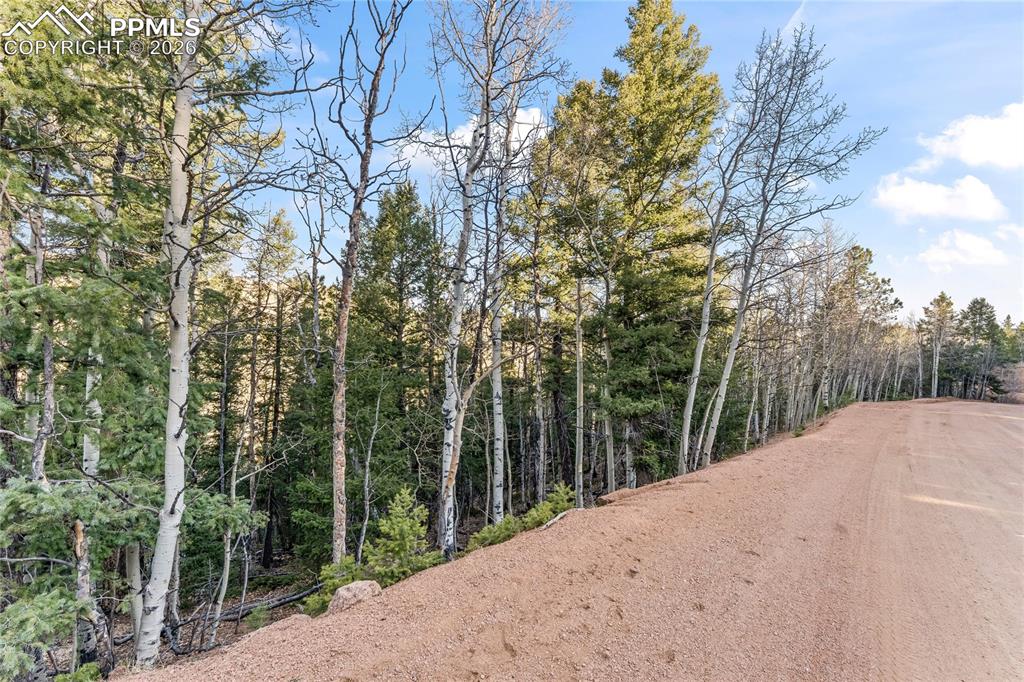 728 Little Topsey Drive Cripple Creek CO 80813