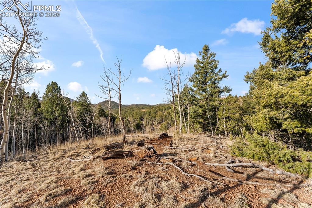 728 Little Topsey Drive Cripple Creek CO 80813