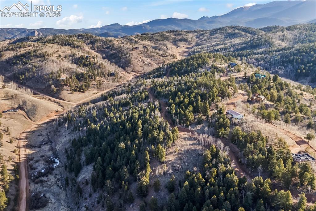 728 Little Topsey Drive Cripple Creek CO 80813
