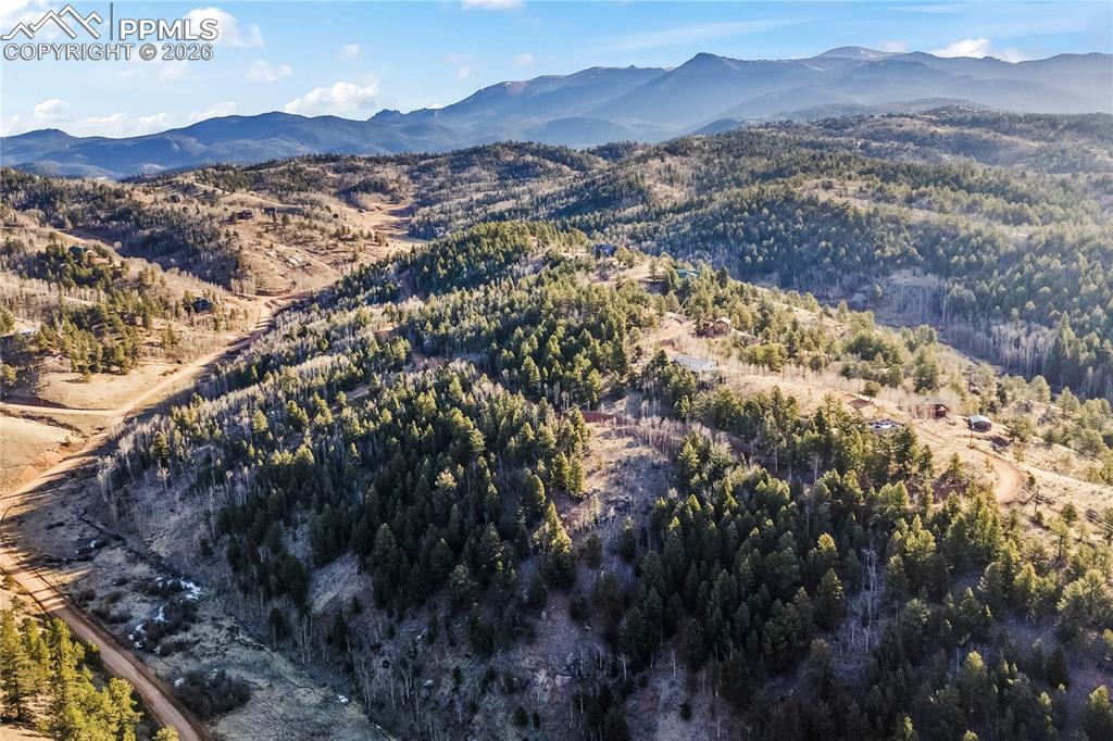 728 Little Topsey Drive Cripple Creek CO 80813