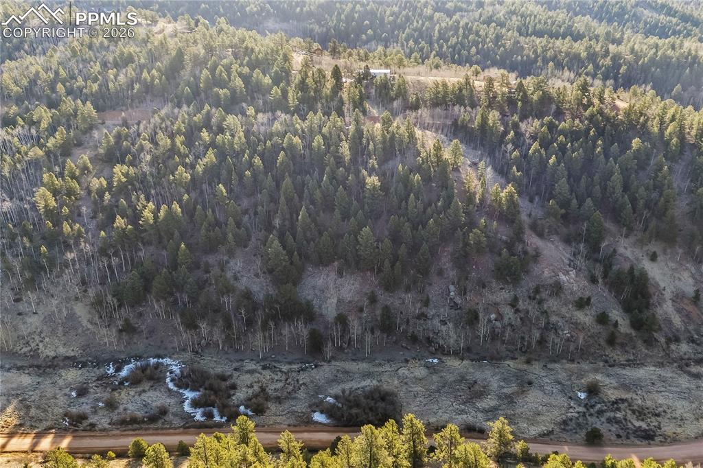 728 Little Topsey Drive Cripple Creek CO 80813