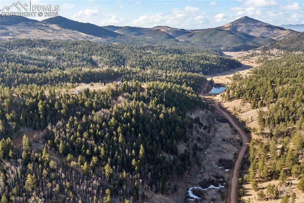 728 Little Topsey Drive Cripple Creek CO 80813