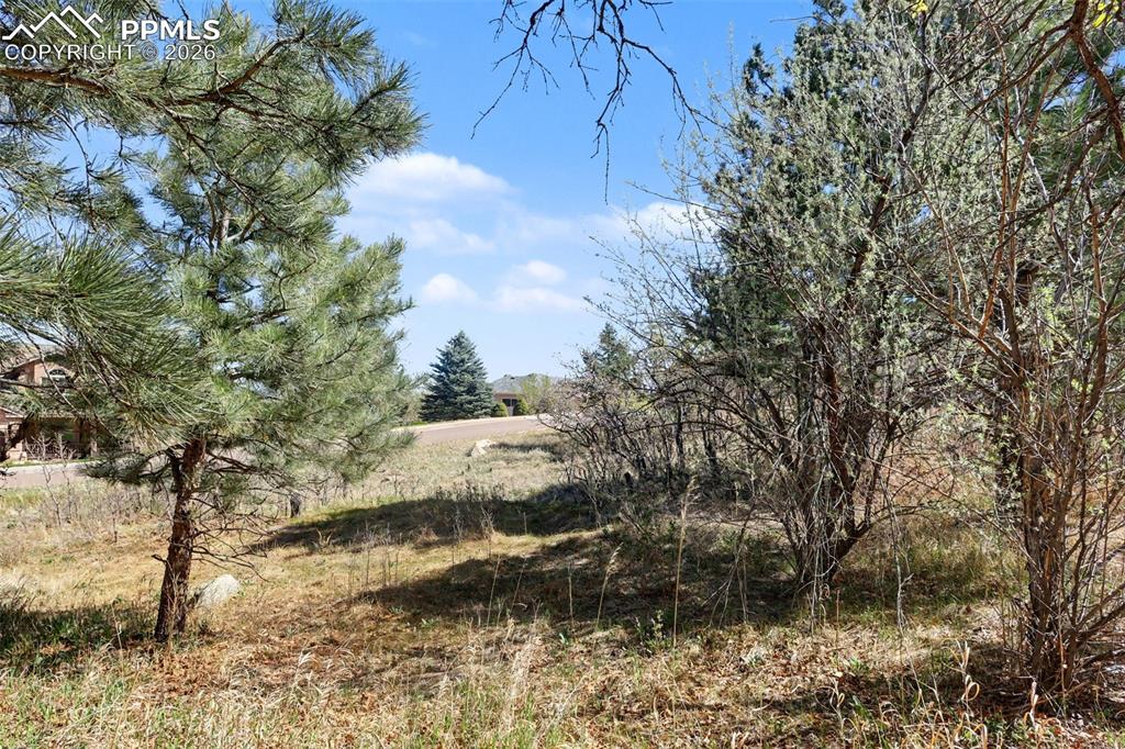 135 Chantrey Court Colorado Springs CO 80906