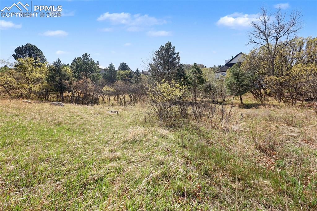135 Chantrey Court Colorado Springs CO 80906